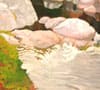 Detalhe de El rio