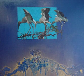 Garzas "Serie flora y fauna de Brasil"