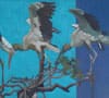Detalhe de Garzas "Serie flora y fauna de Brasil"