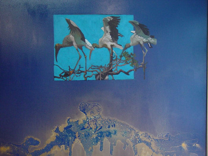 Garzas "Serie flora y fauna de Brasil"